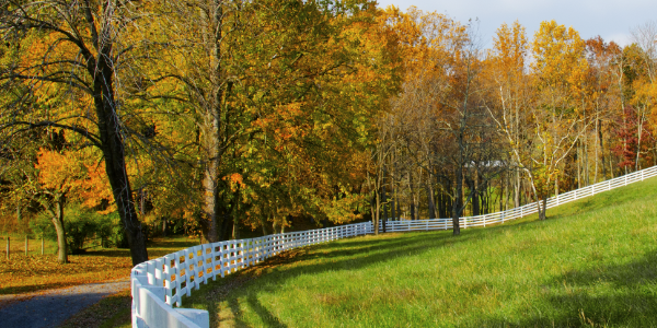 Social Security Benefits for Family Members